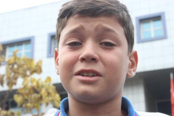 Bursa'da aç kalan köpekler 12 yaşındaki çocuğa saldırdı