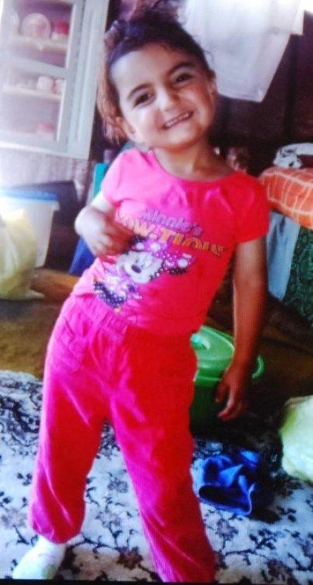 Türkiye Evrim'i arıyor