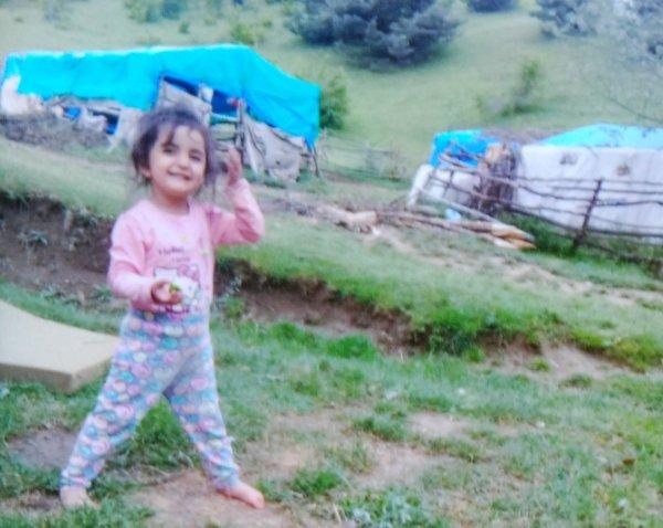 Türkiye Evrim'i arıyor