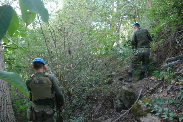 Türkiye Evrim'i arıyor