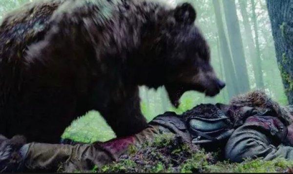 Vahşi yaşam fotoğrafçısı Michio Hoshino’nun son fotoğrafı