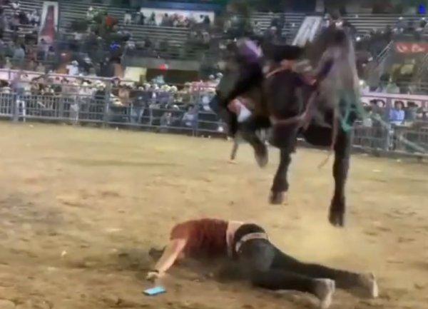 Araneya giren sarhoş adamı havalandıran boğa