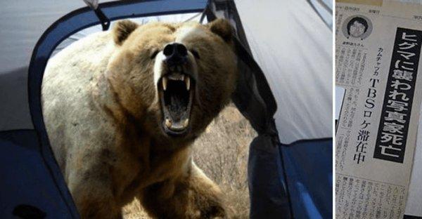 Vahşi yaşam fotoğrafçısı Michio Hoshino’nun son fotoğrafı