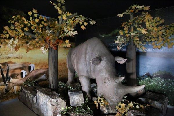 Hasan Ali Yücel Çocuk Müzesi açılıyor