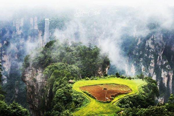 Avatar yolculuğu: Zhangjiajie Milli Parkı