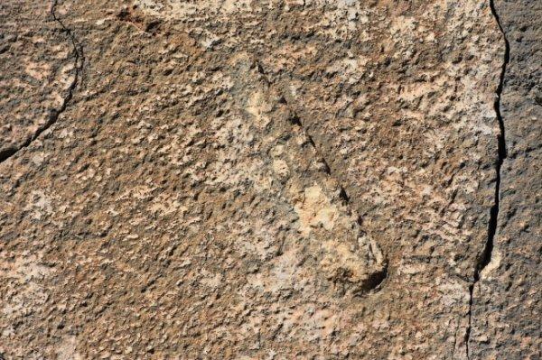 Herkül'ün sopası kabartması bulundu