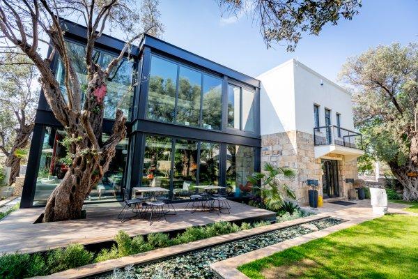 Yeni nesil kütüphane: Zai