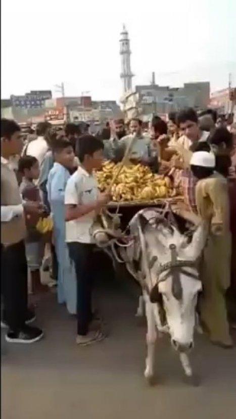 Muz satmak için gittiği pazarda yağmalanan çocuk