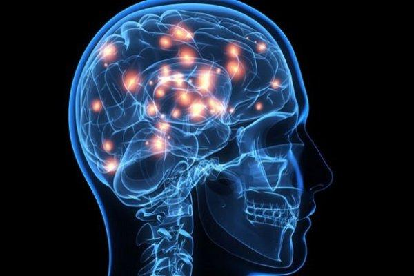 Üzüntü beynin iki bölgesi arasında 