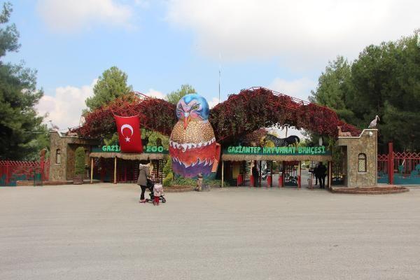 Hayvanlara 5 yıldızlı otel konforu