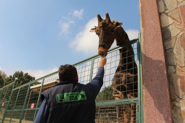 Hayvanlara 5 yıldızlı otel konforu