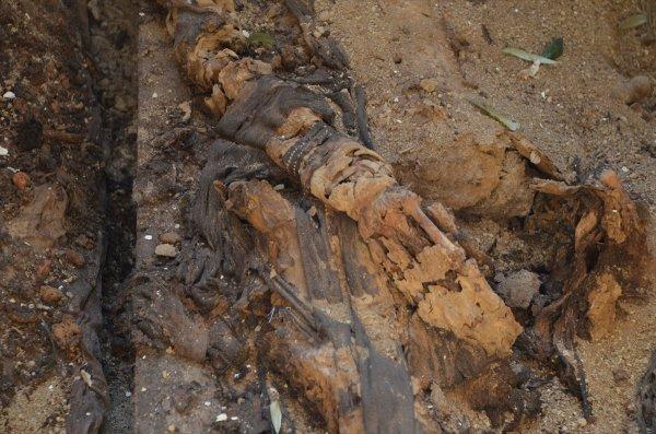 İznik'te bulunan lahit müzeye taşındı