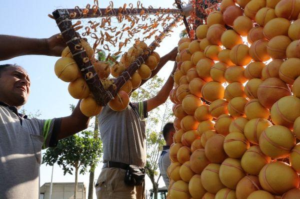 Mersin'de dev narenciye figürler