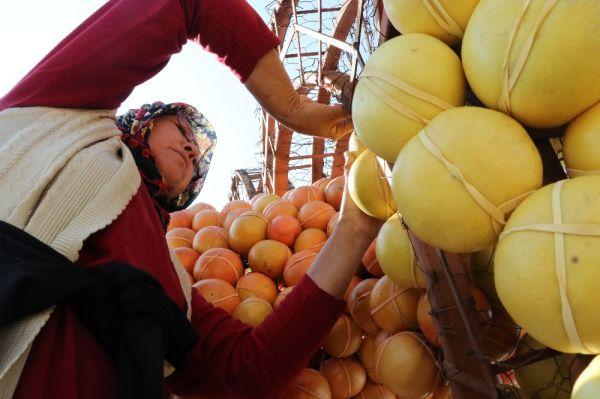 Mersin'de dev narenciye figürler