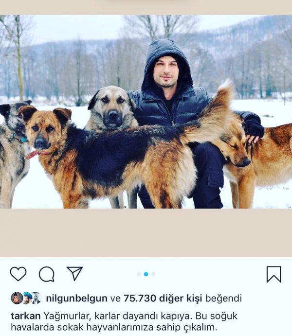 Tarkan'dan sokak hayvanları için çağrı