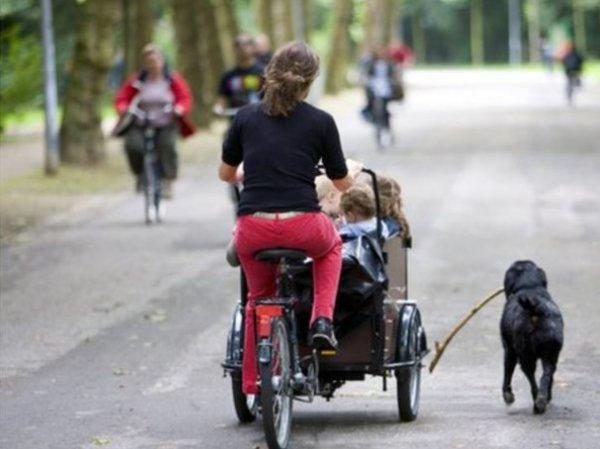 Hollanda'nın bisiklet takıntısı nereden geliyor