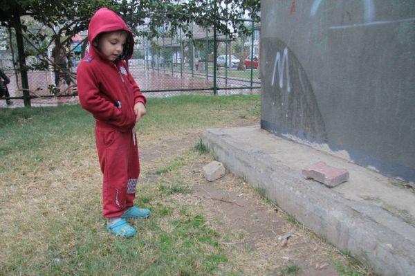 Çocuk parkında dehşete düşüren hayvana işkence kalıntısı