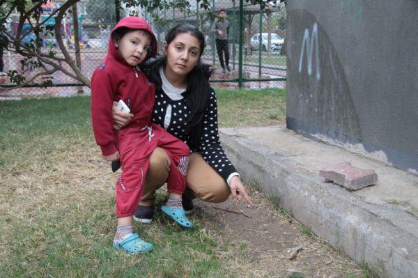 Çocuk parkında dehşete düşüren hayvana işkence kalıntısı