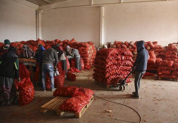 Polatlı'da  soğan depolarına denetim