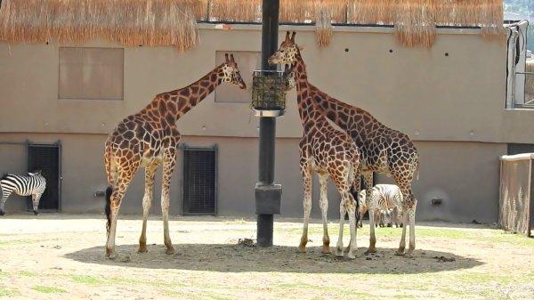 2019 Resmi tatil günleri: Nereye gidelim?