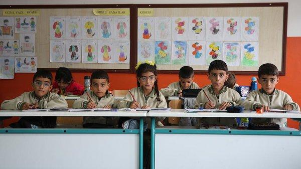 'Beşi' bir yerde büyüyorlar