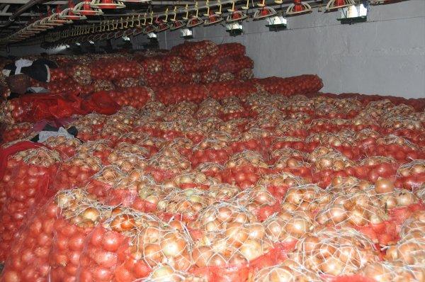 43 soğan deposuna denetim