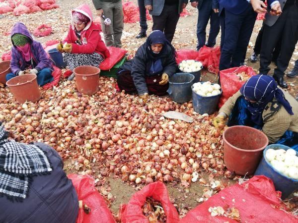CHP, Polatlı'da bulunan soğan depolarını gezdi