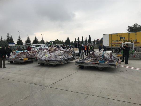 'Çingene Kızı' mozaiğinin parçaları evine döndü