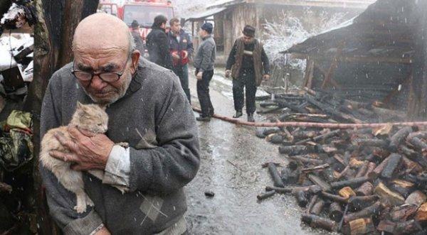 Ali dede kedileriyle yeni evine taşındı