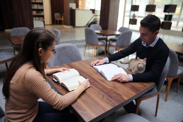 Millet kıraathanesinin sevimli misafiri