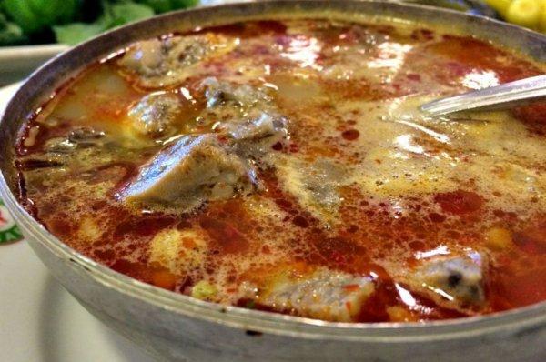 Çağla Şıkel: Gençliğimi kelle paça çorbasına borçluyum