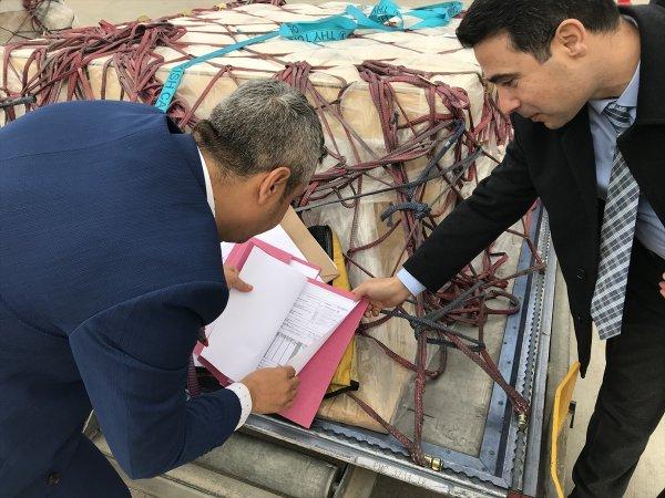 'Çingene Kızı' mozaiğinin parçaları evine döndü