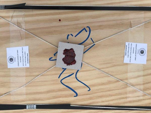 'Çingene Kızı' mozaiğinin parçaları evine döndü