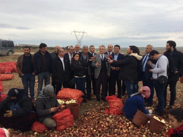 CHP, Polatlı'da bulunan soğan depolarını gezdi