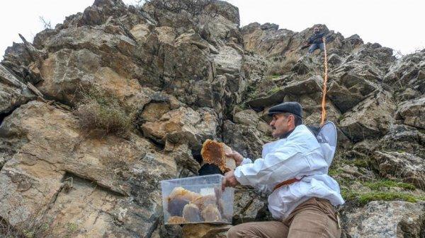 Kaya balı için tehlikeli yolculuk