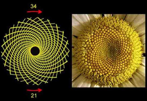 Dünya'nın altın oran noktası: Mekke