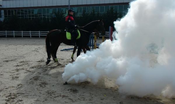 İstanbul'un atlı polisleri göreve hazır