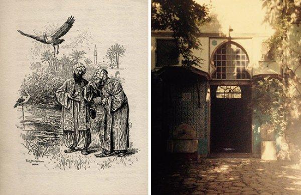 Dünyanın ilk hayvan hastanesini Osmanlı açmıştı