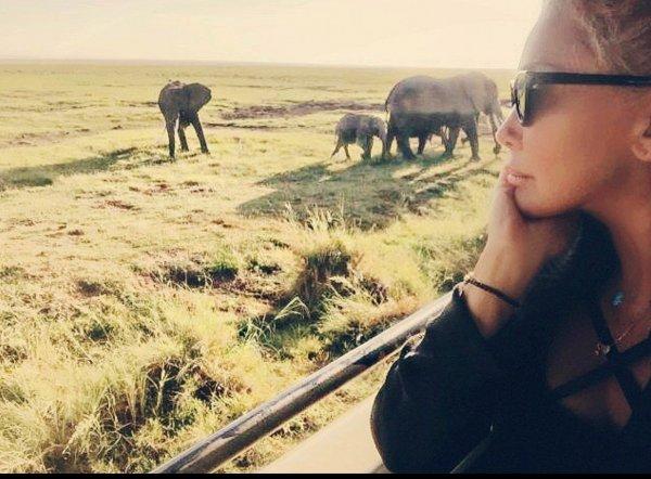 Yonca Evcimik'in artık fili var