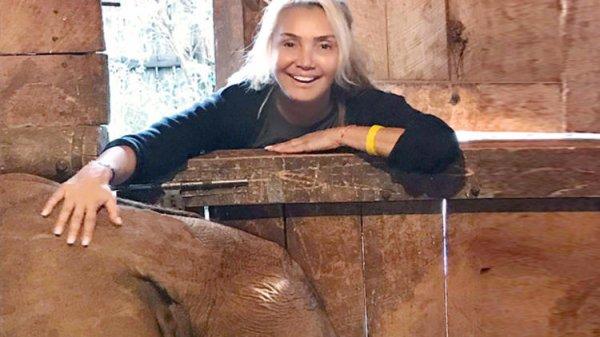 Yonca Evcimik'in artık fili var