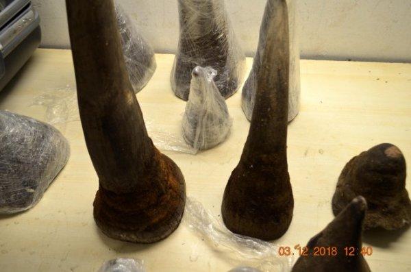 Atatürk Havalimanı'nda 'gergedan boynuzu' operasyonu