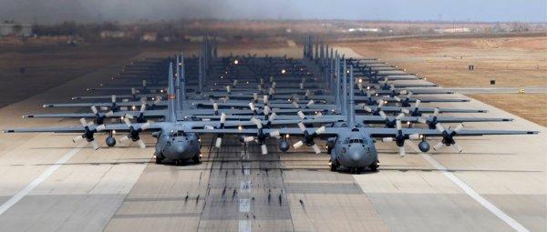 Fil yürüyüşü nedir