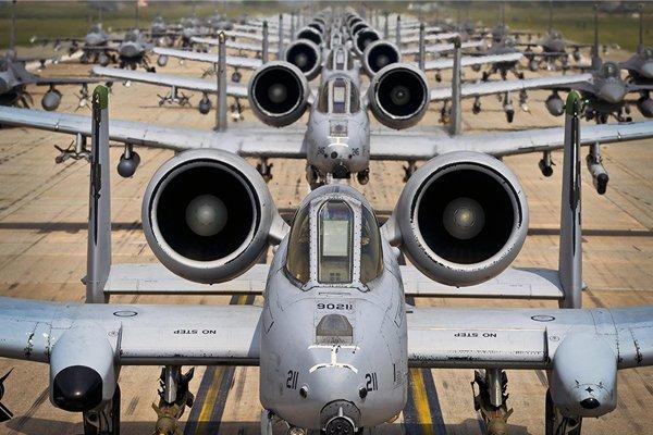 Fil yürüyüşü nedir