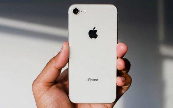 Apple'a şok bir darbe de Mısır'dan geldi