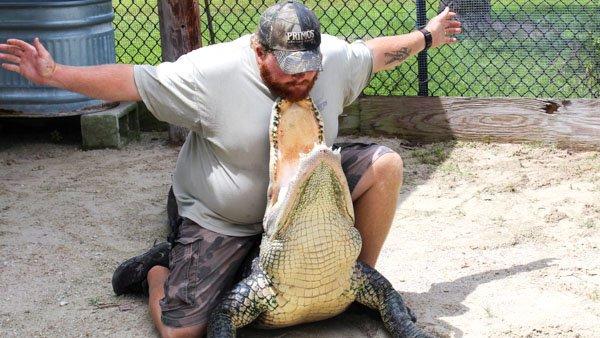Timsah rotası desek: Miami Gator Park
