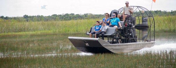 Timsah rotası desek: Miami Gator Park