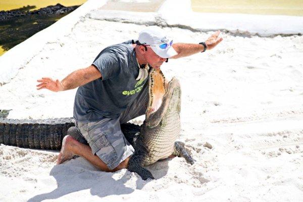 Timsah rotası desek: Miami Gator Park