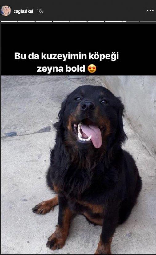 Çağla Şıkel'den annelik dersi