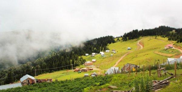 Tirebolu'da inecek var