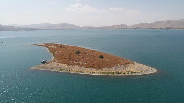 Gölün ortasındaki ada tavşanlara ev sahipliği yapıyor